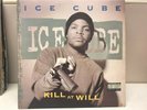 Ice Cube Kill at Will 12