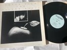 Rare Private Press Jazz Peter Fish The Silver Apple Ellipsoid LP