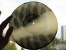 Peter Leshchenko Lescenko LOSHADKA HORSE UNIQUE X-RAY ROENTGEN BONES Record