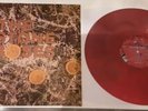 THE STONE ROSES  - DEBUT ALBUM  - RARE 12