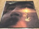 David Crosby SIGNED If I Could Only Remember My Name LP Vinyl