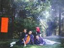 Big Thief – U.f.o.f. – Limited Edition, Orange, Colored Vinyl, Gatefold, 4AD, NE