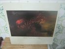 COCTEAU TWINS victorialand MEGA  RARE 1988 GREEK LP VINYL ETHEREAL 4AD NEAR MINT