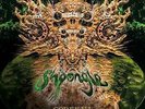 SHPONGLE: CODEX VI (3LP) {LP vinyl}