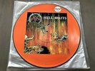 Slayer - Hell Awaits ORG Limited/Numbered Picture Disc 1985   Metallica,Kreator