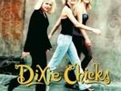 Dixie Chicks - Wide Open Spaces [New Vinyl] Gatefold LP Jacket BRAND NEW