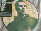 LIAM GALLAGHER - WHY ME? WHY NOT - VINYL PICTURE DISC LP. ULTRA LIMITED.