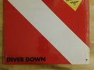 Van Halen - Diver Down / Catalog BSK 3677