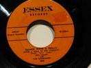Bill Haley AND THE SADDLEMEN DANCE WITHA DOLLY // ROCKING CHAIR ON THE MOON ESSE