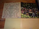 DEVENDRA BANHART - CRIPPLE CROW / 2-VINYL-LP-SET 2006 (MINT-)
