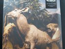 INTERPOL Our Love To Admire 10th Anniversary, 2 Disc, 180g Vinyl