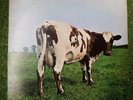 PINK FLOYD - Atom Heart Mother' Vinyl LP  Gatefold On Harvest 1971 ex cond