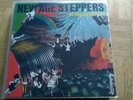 New Age Steppers - Action Battlefield (The Slits, Ari Up)