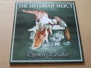 sisters of mercy -opened paradise - 2 x lp - color test - only one copy exist 2