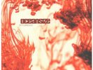 OCEANSIZE Effloresce DOUBLE LP VINYL 12 Track Yellow With Red Swirl Vinyl Doub