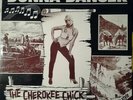 Donna Danger The Cherokee Chick NEAR MINT Jan Records Vinyl LP