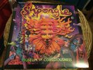 Shpongle ?– Museum Of Consciousness - 2-LP 2013