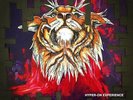 HYPER ON EXPERIENCE - Disturbance Remixes - Vinyl (double 10