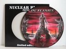 IN FLAMES Colony PICTURE DISC LP Original 1999 1st Press Germany Nuclear Blast