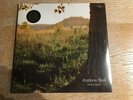 ANDREW BIRD - NOBLE BEAST - NEW SEALED (US IMPORT) VINYL 2xLP ALBUM - 1124-1