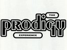 THE PRODIGY EXPERIENCE NEW SEALED DOUBLE VINYL LP REISSUE IN STOCK