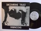 PUNK LP - SACCHARINE TRUST - PAGANICONS 1981 SST 006 First Press VG++