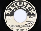 Blues 45 - Slim Harpo - Sittin' Here Wondering - Excello - mp3