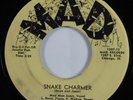 Instrumental Exotica Tittyshaker 45 MAD MAN JONES Snake Charmer MAD HEAR