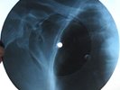 GRATEFUL DEAD - CREAM PUFF WAR - GEORGIAN UNIQUE X-RAY ROENTGEN RIBS RECORD