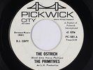 Garage 45 - Primitives - Ostrich - Pickwick - Lou Reed/pre-Velvet Underground