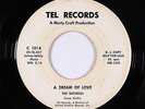 Doo-Wop 45 - Nutmegs - A Dream Of Love - Tel - mp3