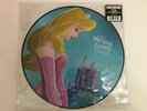 Disney's Sleeping Beauty 12