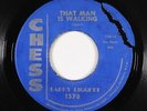 R&B 45 - Larry Liggett - That man Is Walking - Chess - VG+ mp3