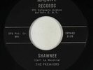 Rock & Roll Inst. 45 - Premiers - Shawnee/Orbit Bound - Squire - VG+ mp3 - rare
