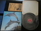 Orange Juice You Can't Hide Your Love UK Vinyl LP w Japan Flyer Edwyn Collins