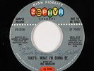 R&B Soul Popcorn 45 - Ric Marlow - That's What I'm Gonna Be - Zephyr - mp3