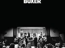 Boxer [Vinyl LP] von National,the | CD | Zustand gut