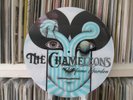 The Chameleons - Perfume Garden Rare 12
