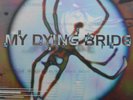 MY DYING BRIDE - 34.788% Complete, 1st press LP, Vinyl 1998 (Peaceville?–VILE74)