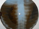 EDDIE COCHNAR - CMON EVERYBODY - USSR GEORGIAN UNIQUE X-RAY BONES RECORD
