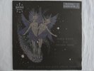 RARE VINYL ANIMAL COLLECTIVE SPIRIT THEY'RE GONE VANISHED AYEY TARE PANDA BEAR