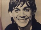 Iggy Pop - List For Life, LP, Near Mint, Promo