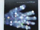 Wendy & Lisa ?- White Flags Of Winter Chimneys LP UNPLAYED 