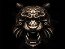 TYGERS OF PAN TANG Ritual LP Limited Edition NUOVO .cp