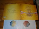 DEVENDRA BANHART - WHAT WILL WE BE / HOLLAND 2-VINYL-LP-SET 2009 (MINT )