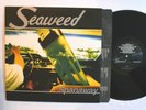 PUNK ROCK LP - SEAWEED - SPANAWAY 1995 Hollywood HR62009-1 GOLD STAMP PROMO M-