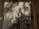 Flea (Red Hot Chili Peppers) Helen Burns Vinyl