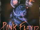 PINK FLOYD ANIMALS IN BERLIN 1977 DANDELION RECORDS PURPLE VINYL RARE LIVE
