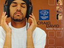 Craig David - Born To Do It 2xLP - Wildstar VG+