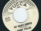 Teen / Rocker - Bobby Fuller YUCCA 144 My heart jumped / Gently my love ?